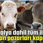 Antalya dahil tüm illerde hayvan pazarları kapatıldı