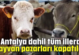 Antalya dahil tüm illerde hayvan pazarları kapatıldı