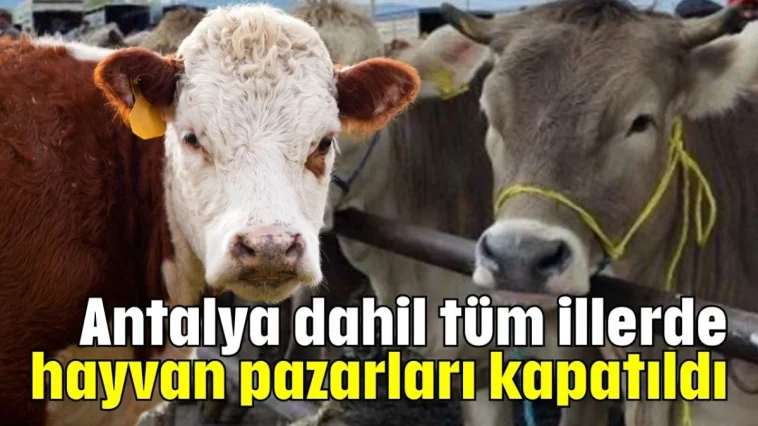 Antalya dahil tüm illerde hayvan pazarları kapatıldı