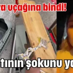 Antalya uçağına bindi! Hayatının şokunu yaşadı