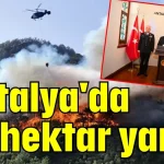 Antalya'da 52 hektar yandı