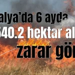 Antalya’da 6 ayda, 540.2 hektar alan zarar gördü