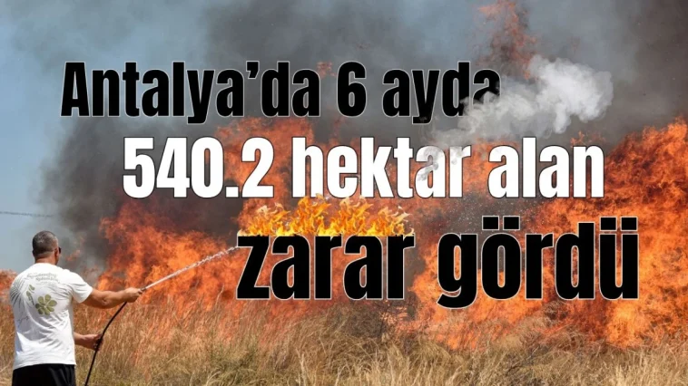 Antalya’da 6 ayda, 540.2 hektar alan zarar gördü
