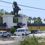 Antalya'da aslanın kaçtığı hayvanat bahçesinin denetimi sürüyor