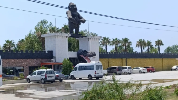 Antalya'da aslanın kaçtığı hayvanat bahçesinin denetimi sürüyor