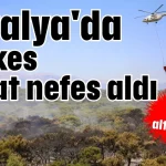 Antalya'da herkes rahat nefes aldı! Yangın 3,5 saatte kontrol altına alındı