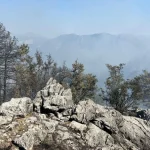 Antalya’da orman yangınlarından biri kontrol altında