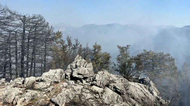 Antalya’da orman yangınlarından biri kontrol altında