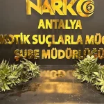 Antalya’da uyuşturucu operasyonları: 1 haftada 17 tutuklama