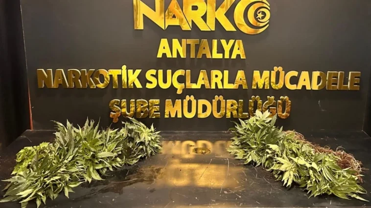 Antalya’da uyuşturucu operasyonları: 1 haftada 17 tutuklama