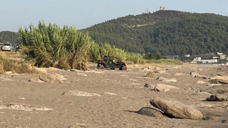 Antalya'daki caretta caretta yuvalarında yapılan duyarsızlık tepki çekti