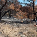 Antalya'nın 'Falezler Gelini' yangında büyük zarar gördü