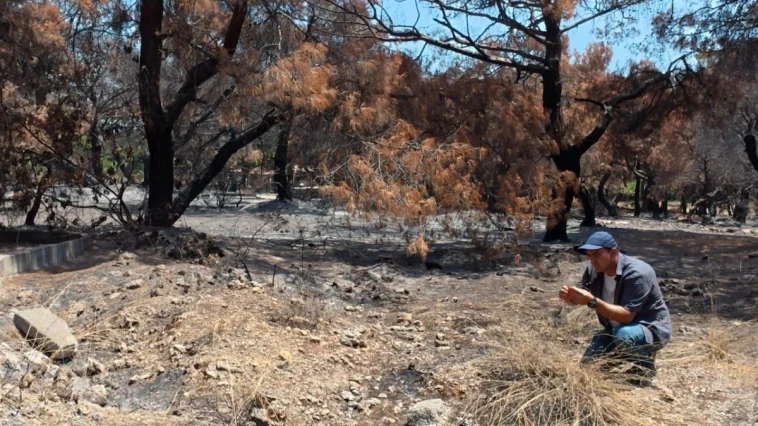 Antalya'nın 'Falezler Gelini' yangında büyük zarar gördü