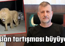 Aslan tartışması büyüyor