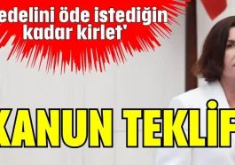 'Bedelini öde istediğin kadar kirlet' kanun teklifi