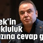 Böcek'in tutukluluk itirazına cevap geldi