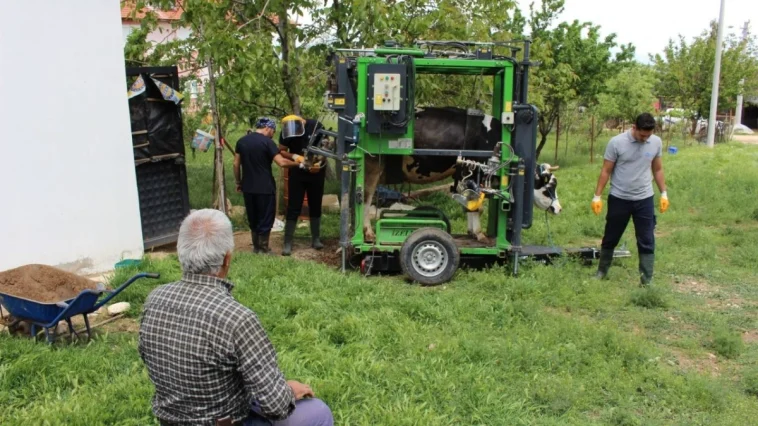 Büyükşehir’den çobanlara destek