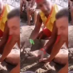 'Caretta yuvaları, para karşılığı turistlere açılıyor'