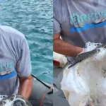 Çuvala dolanan caretta carettayı kurtardı