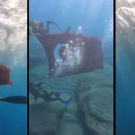 Deniz altında işaret diliyle İstiklal Marşını okudular