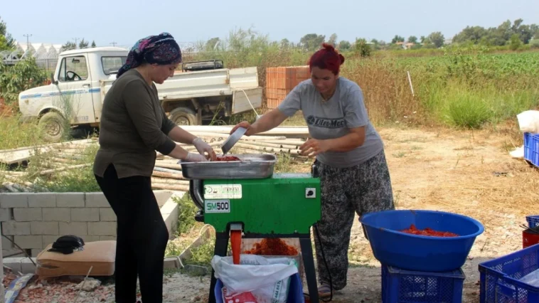 Denizyakalı'ya salça yapma makinesi
