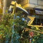 Freni boşalan tır park halindeki 2 otomobile çarparak durabildi