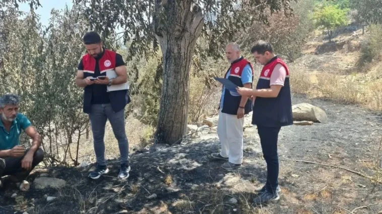 Gazipaşa'da orman yangını sonrası yanan sahalar belirlendi