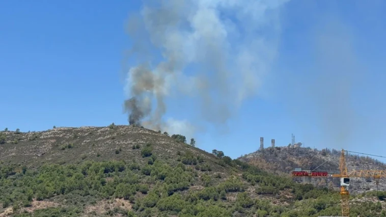 Gazipaşa'daki ormanlık alandaki yangın kontrol altına alındı