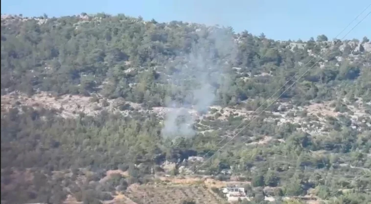 Gazipaşa’daki yangın büyümeden söndürüldü
