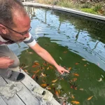 Havuzda yetiştirdiği 147 akvaryum balığına gözü gibi bakıyor