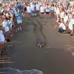 İlk yerli takip cihazı Belek’te takıldı