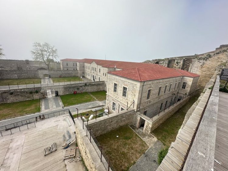 image_750x_6870d28a194d4-1