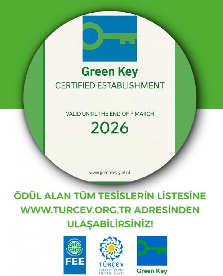 image_750x_6887176b85d99