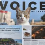 ANTALYA GASTRONOMİ KENTİ OLMA YOLUNDA İLERLİYOR