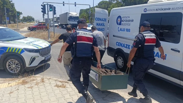 Kanseri yendi, kazada can verdi