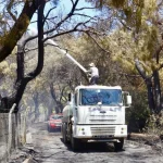 Kepez’den orman yangınına müdahale desteği