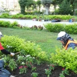 Kepez’den yeşil alanlara özenli dokunuş