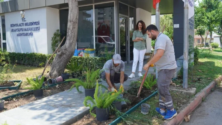 Konyaaltı'nda muhtarlık binaları çiçeklendiriliyor