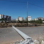 Köpeğe çarpmamak için elektrik direğine vurdu