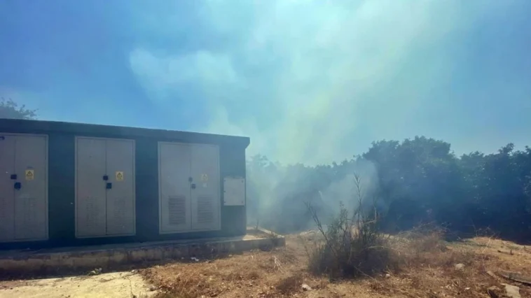 Lüks villalara yakın noktada çıkan yangın korkuttu