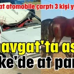 Manavgat'ta aslan, Finike'de at paniği!