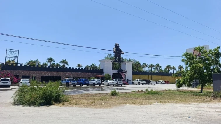 Manavgat'ta aslanın kaçtığı hayvanat bahçesi mühürlendi