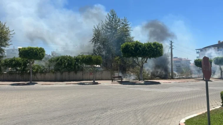 Manavgat'ta çıkan çalılık yangını korkuttu