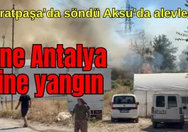 Muratpaşa'da söndü, Aksu'da alevlendi! Yine Antalya, yine yangın