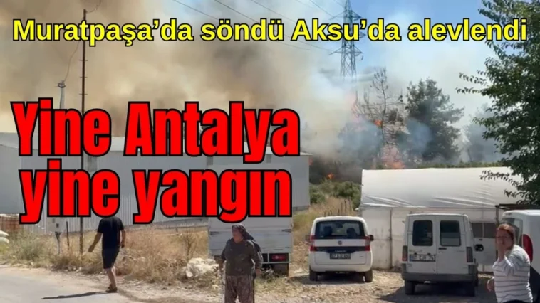 Muratpaşa'da söndü, Aksu'da alevlendi! Yine Antalya, yine yangın