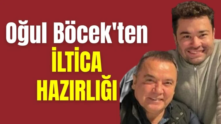 Oğul Böcek'ten iltica hazırlığı