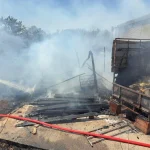 Portakal bahçesinde çıkan yangın büyümeden söndürüldü