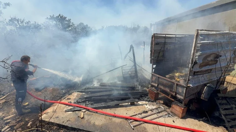 Portakal bahçesinde çıkan yangın büyümeden söndürüldü