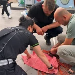 Serik’te duygulandıran kedi kurtarma operasyonu