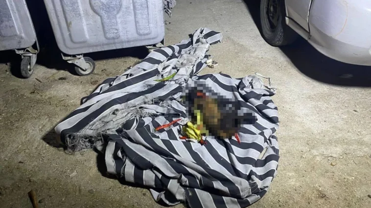 Serik'te korkutan yangını vatandaşlar söndürdü